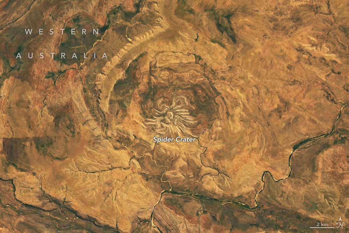 A satellite view of light-coloured rocky ridges radiating from a central point across an orange and tan desert, like the legs of a spider.