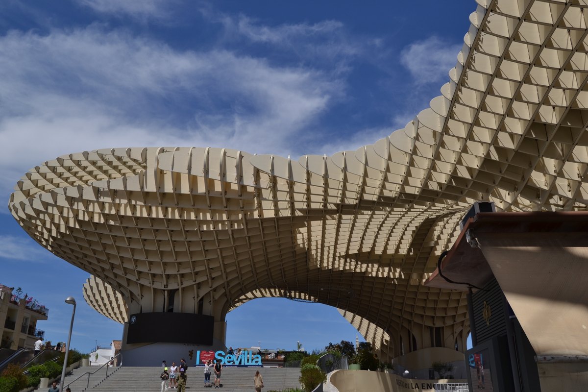 A huge undulating wooden lattice canopy rising above a public square in Seville.
