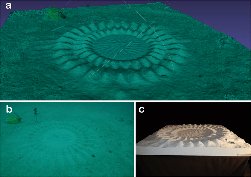 Three-panel scientific figure showing a circular underwater sand nest, a reconstruction and a physical model.