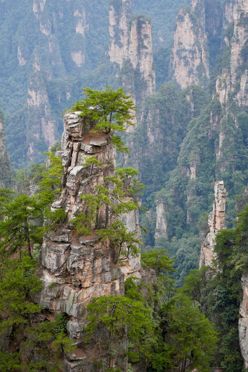 A cluster of tall, narrow sandstone pillars rising above green forest.