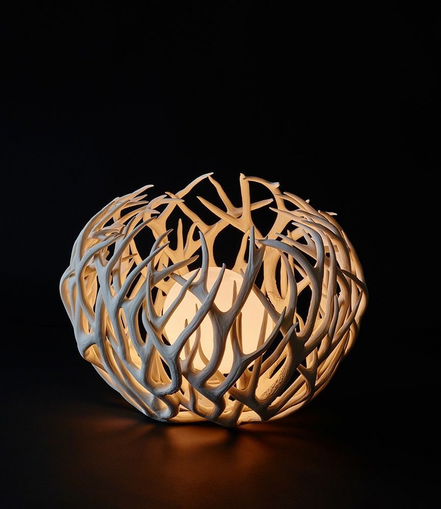 Antlers of light