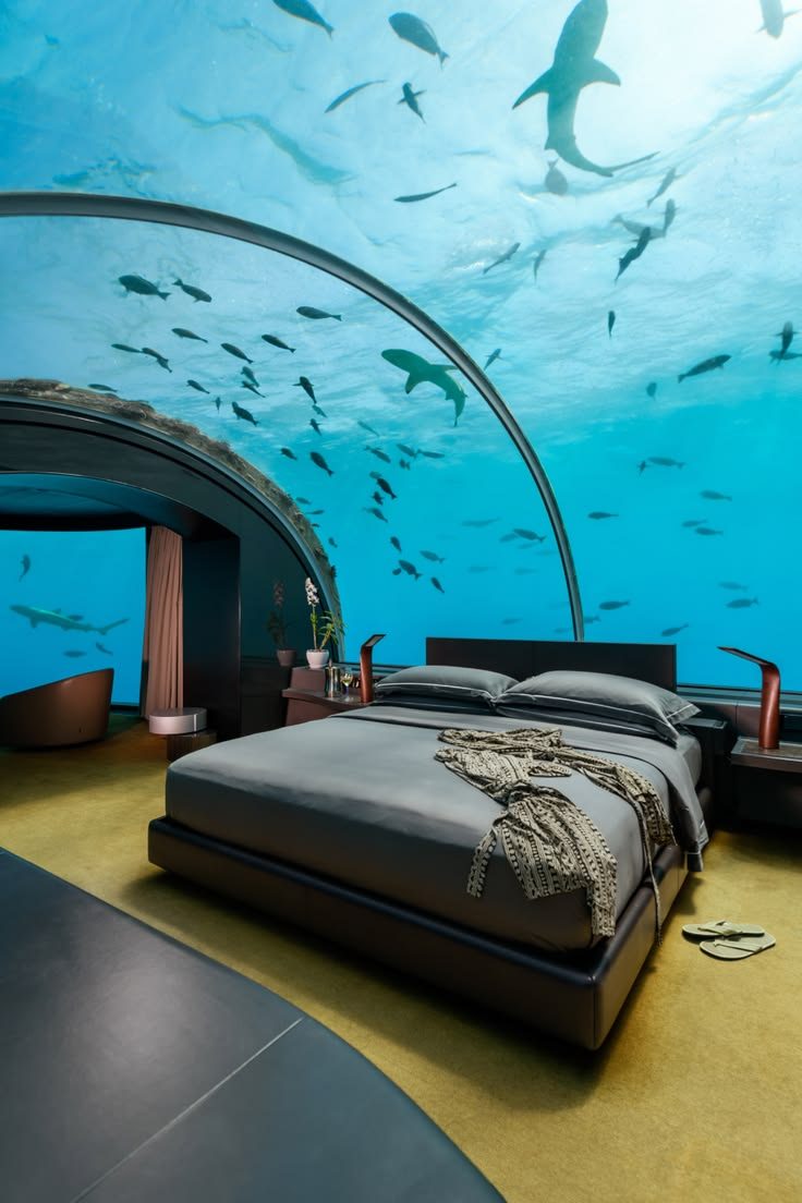 Sleep here or spend the whole night watching?