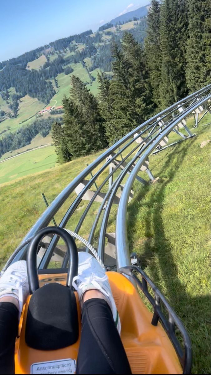 An alpine coaster. A rollercoaster down a mountain.