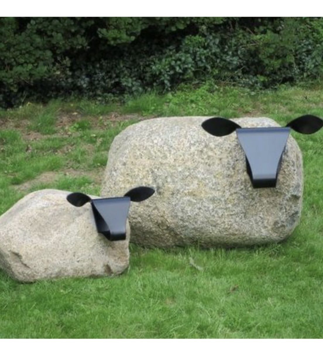 Sheep - I want one!