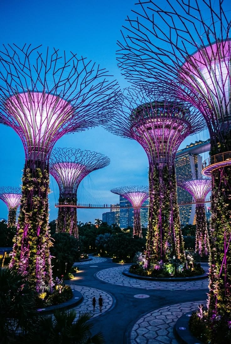 The Supertrees by day or after dark?