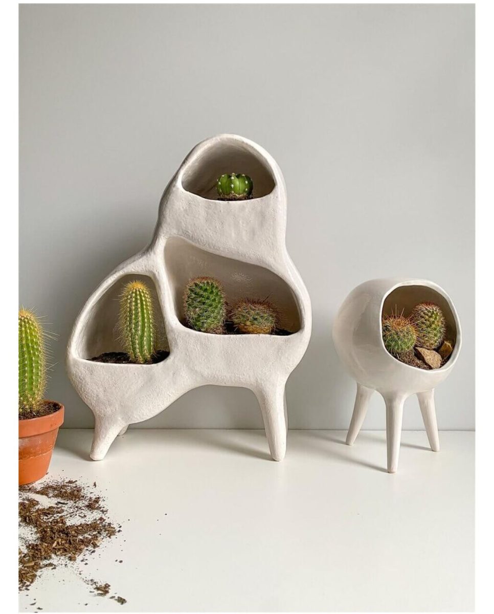 Cactus home on legs